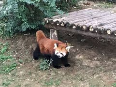 -西安秦岭野生动物园