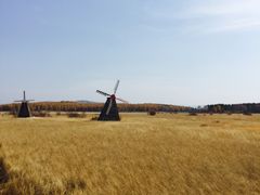 -塞罕坝国家级自然保护区