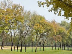 -龙熙温泉高尔夫俱乐部