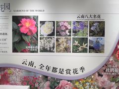 -花之城