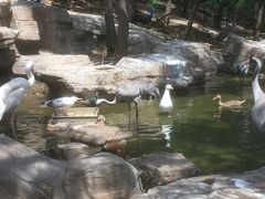 -燕塞湖鸟语林景区