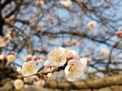 -碓臼峪自然风景区