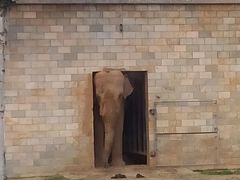 android_upload_pic-石家庄市动物园