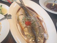 -品悦(崇明凯悦店)