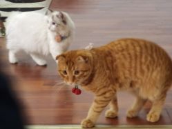 -辛德瑞拉摄影工作室(大润发店)