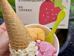 -苏小糖(鼓浪屿三丘田花园店)