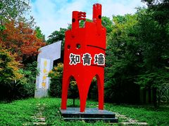 -东平国家森林公园