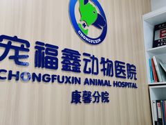 -宠福鑫康馨动物医院·骨科·眼科