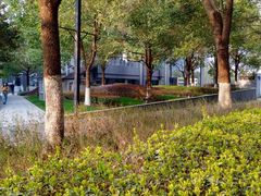 -星巴克(古美路店)