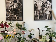 -苗祖咖啡(洛克时代中心店)