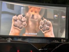 -枫花园汽车电影院(朝阳公园店)