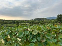 -YUEYAR PHOTO摄影