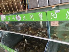 水产区-阳澄湖大闸蟹·琼灵阁牌品牌连锁(吴中总店)