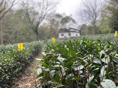 -法云安缦酒店