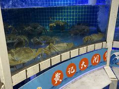 -黄记大闸蟹专卖店·活蟹·醉蟹