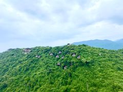 -三亚亚龙湾人间天堂鸟巢度假村