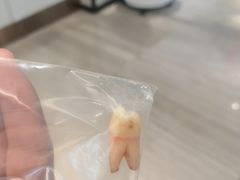 -牙博士口腔品牌连锁(杨浦店)