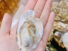 -爱蚝屋