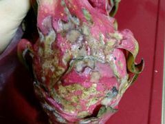 -小资小味(东门店)