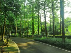 -苏州河梦清园环保主题公园