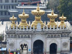 -上海东林寺(金山区)