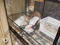 -瑞虹新天地月亮湾