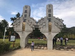 -千年银杏谷文化旅游区