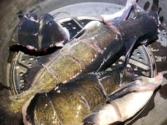 -山河屯江鱼馆