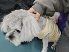 -美联众合动物医院·24h京西诊疗中心