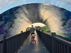 -大湾区中央湿地公园