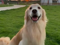 -荔康动物医院(康王北路店)