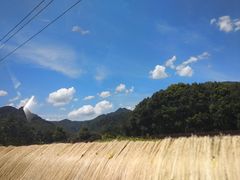 -仙山谷激浪漂流