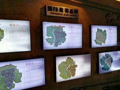 -青岛葡萄酒博物馆