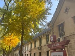 -山东大学(趵突泉校区)