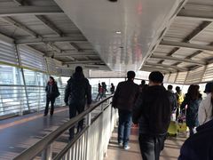 -望京西(地铁站)