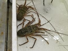 -板桥海鲜广场(文明东店)