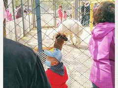 -长白岛森林公园