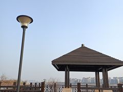-九龙湖公园