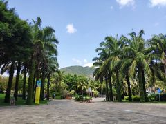 -三亚亚龙湾天域度假酒店