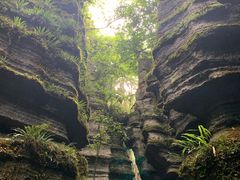 -梭布垭石林景区