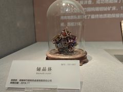 -湖南省地质博物馆