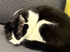 -路易时光(蕴川路店)