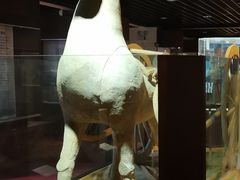 -普公古陶瓷博物馆