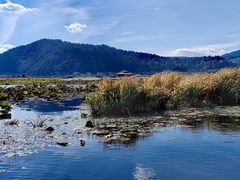 -腾冲北海湿地