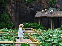 -广州莲花山旅游区