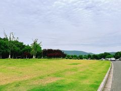 -紫金山山顶公园