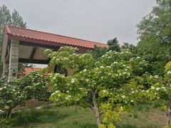 -意大利农场度假村
