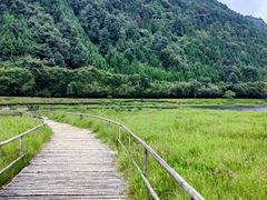 -腾冲北海湿地