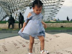 -南汇嘴观海公园