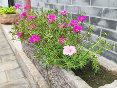 -鸡鸣驿古城